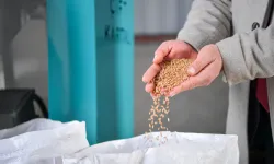 Ankara'da Polatlı'ya kırsal kalkınma yatırımı