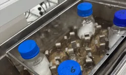 BTÜ'lü öğrenciler atık nişastadan ambalaj film üretti