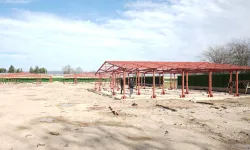 Bursa Yenişehir'de 'Hayvan Bakımevi Ve Doğal Yaşam Alanı' gün sayıyor