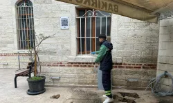 İstanbul Bakırköy'de camiler Ramazan'a hazırlanıyor