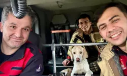İzmir İtfaiyesi tüm canlıların imdadına yetişiyor