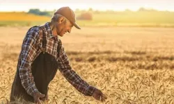 2025'te tarım işçilerinin günlük ücretleri arttı