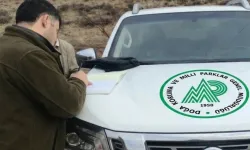 Akseki'de kaçak avcılığa 1 milyon TL'yi aşan ceza