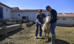 Ankara'da kırsaldaki üreticiye can suyu