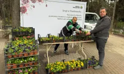 Bursa İnegöl'de mezarlıklar çiçek bahçesine büründü