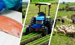 IPARD III'te yeni takvim açıklandı... Kırsala 241 milyon avroluk dev hibe