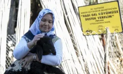 Kadınlar Mersin'de hayatı baştan yazıyor