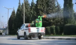 Manisa Büyükşehir'den vektörle mücadele mesaisi