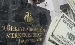 Türkiye'nin net UYP açığı -345,2 milyar dolar