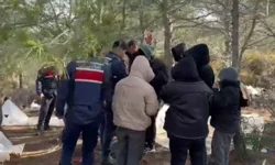 24ilde kaçak göçmen operasyonu