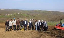 Bursa Nilüfer'de atıl araziler bereketleniyor