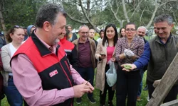 Bursa siyahı incirde sıkı denetim