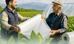 Denizli Büyükşehir'den tütün üreticisine destek