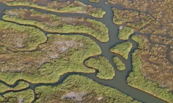 Gediz Havzası'nda kirlilik artıyor!