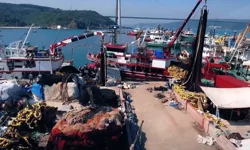 Hamside rekor sezon... 245 bin ton avcılıkla bereketli kapanış