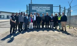 Kayseri Büyükşehir'den can dostlar için örnek hizmet