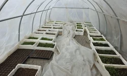 Kayseri Büyükşehir'in Doğal Ürünler Pazarı'nda geri sayım