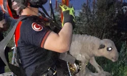 Kuyuya düşen kuzuya İzmir İtfaiyesi'nden nefes kesen kurtarma