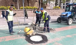 Manisa festivale hazırlanıyor