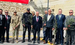 Mardin Yeşilli'de tarihi rekor! 102 bin meyveli fidan dağıtıldı
