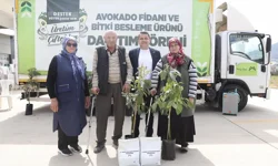Mersin'de Anamurlu üreticilerin yüzü gülüyor