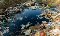 Prof. Dr. Ünüsan'dan mikroplastik uyarısı: Bitki bazlı çözümler umut veriyor ancak...