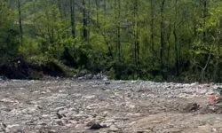 Rize'de vahşi depolamaya milyonluk ceza! Çevre'den suç duyurusu