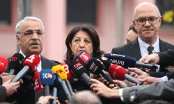 DEM Parti İmralı Heyeti: Demokratikleşme hayati ihtiyaç