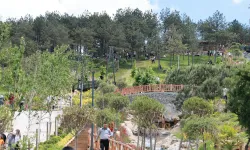 Gebze'de Pelitli Bayraktepe'ye vatandaş akını