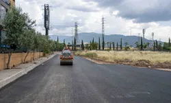 İzmir Bornova'da asfalt seferberliği