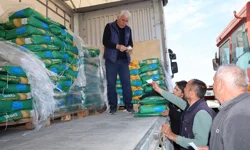 Traktörler tarlalara indi, mısır ekimi başladı
