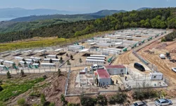 Kocaeli'nde sahipsiz köpeklere yeni yuva