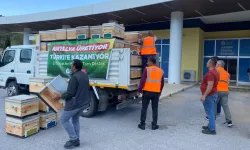Antalya'da arı kovanı destekleri devam ediyor