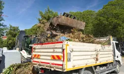 Bornova'da yaz öncesi kuru otlar temizlendi
