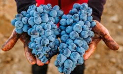 Denizli'de Çal Karası Sempozyumu 3.500 yıllık mirası gün yüzüne çıkaracak