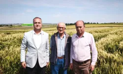 Edirne İpsala'dan TMO fiyatlarına ortak isyan!