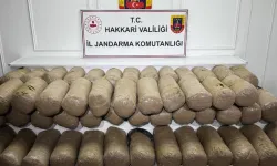 Hakkari'de 503 kilo esrar ele geçirildi