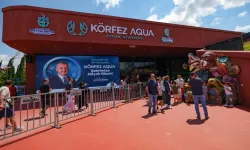 Kocaeli'de 2 günde su altı yaşamını 36 bin 809 kişi keşfetti