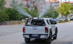 Konya Selçuklu'da ilaçlama çalışmaları sürüyor