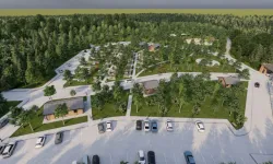 Sakarya'da 80 dönüm üzerine doğa projesi