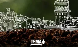 TEMA Vakfı'ndan gözaltı açıklaması: Gönüllülerimizin eylemle ilgisi bulunmamaktadır
