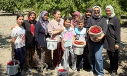 DAĞDER'den Bursalı kiraz üreticilerine destek