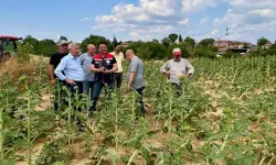 Edirne Keşan'da fırtına sonrası hasar tespiti başladı