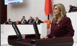 Giresun Milletvekili Gezmiş'ten TBMM'de Eğitim çıkışı!