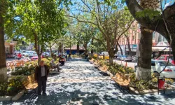 Güzel İzmir Hareketi Bayındır'da