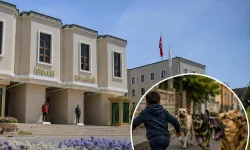 Halfeti'deki köpek saldırısıyla ilgili Mülkiye Müfettişi görevlendirildi