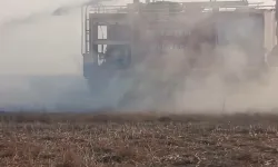 İpsala'da anız yangını tarım arazilerini küle çevirdi
