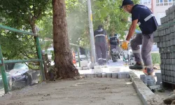 İstanbul Maltepe'de kaldırım düzenleme çalışmaları sürüyor