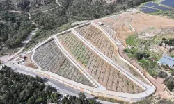 İzmir'de mezarlıklarda Türkiye'ye örnek olacak model