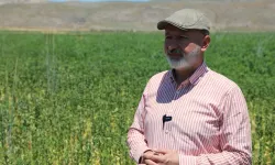 Kayseri Kocasinan'da toprağın bereketi sofralara taşınıyor